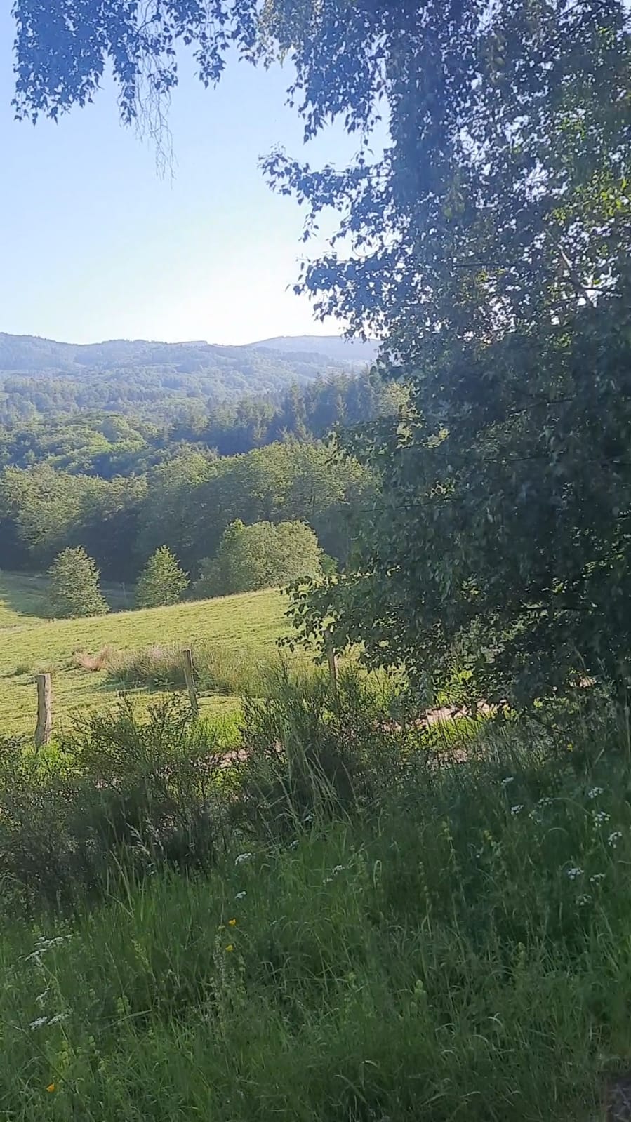 vue sur les monts du Forez